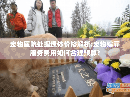 宠物医院处理遗体价格解析:宠物殡葬服务费用如何合理预算?