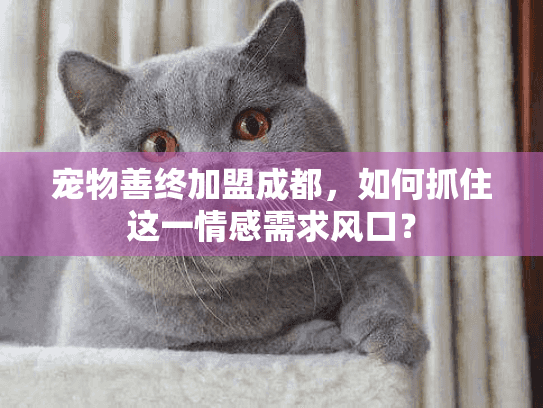 宠物善终加盟成都，如何抓住这一情感需求风口？