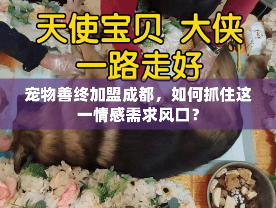 宠物善终加盟成都，如何抓住这一情感需求风口？