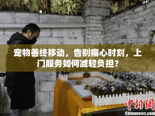 宠物善终移动，告别痛心时刻，上门服务如何减轻负担？