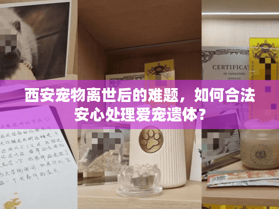 西安宠物离世后的难题，如何合法安心处理爱宠遗体？