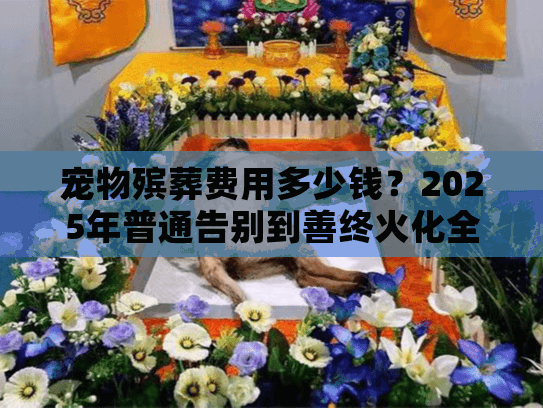 宠物殡葬费用多少钱？2025年普通告别到善终火化全项价格分析