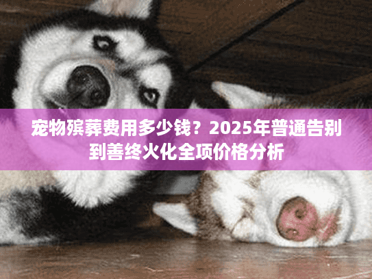 宠物殡葬费用多少钱？2025年普通告别到善终火化全项价格分析