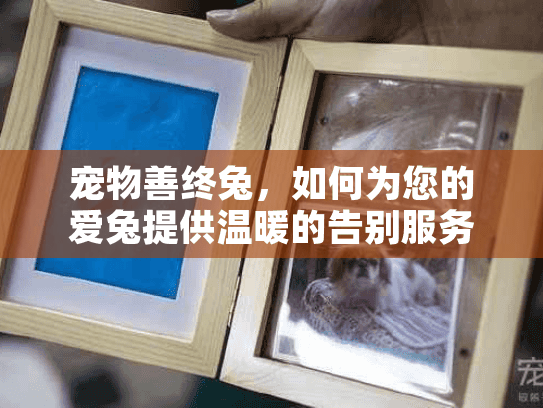 宠物善终兔，如何为您的爱兔提供温暖的告别服务？