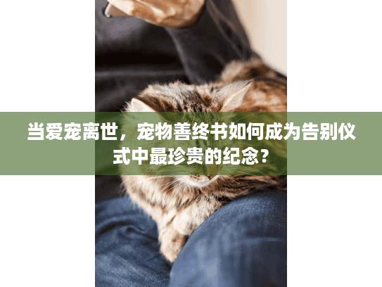 当爱宠离世，宠物善终书如何成为告别仪式中最珍贵的纪念？