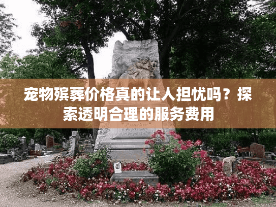 宠物殡葬价格真的让人担忧吗？探索透明合理的服务费用