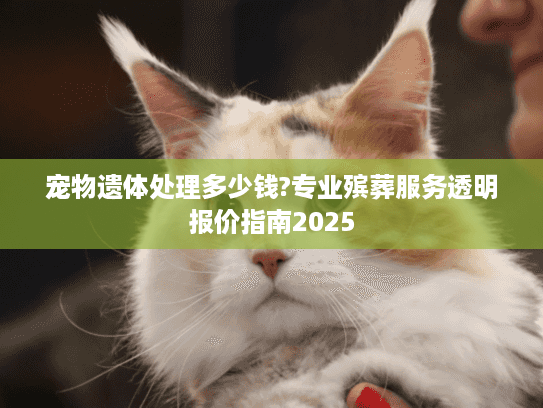 宠物遗体处理多少钱?专业殡葬服务透明报价指南2025