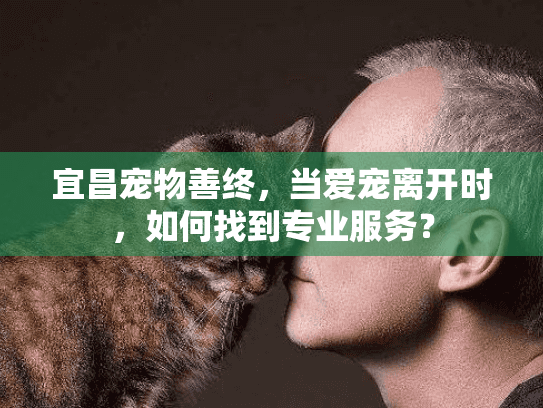 宜昌宠物善终，当爱宠离开时，如何找到专业服务？