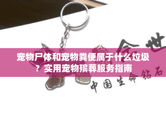 宠物尸体和宠物粪便属于什么垃圾？实用宠物殡葬服务指南