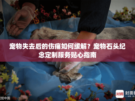宠物失去后的伤痛如何缓解？宠物石头纪念定制服务贴心指南