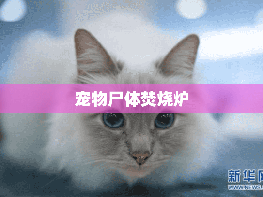 宠物尸体焚烧炉