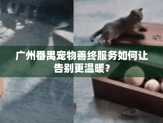 广州番禺宠物善终服务如何让告别更温暖？
