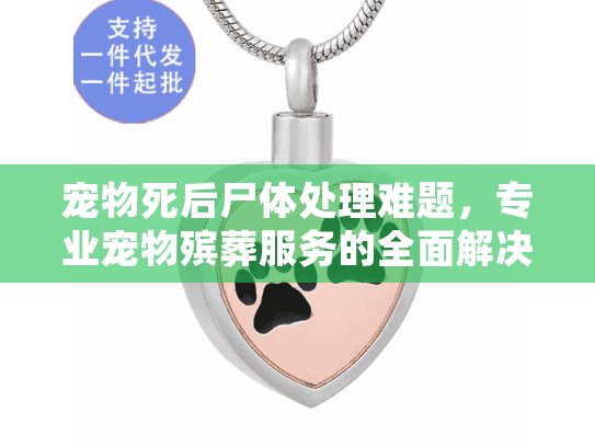宠物死后尸体处理难题，专业宠物殡葬服务的全面解决方案