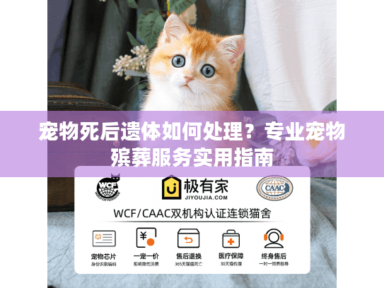 宠物死后遗体如何处理？专业宠物殡葬服务实用指南