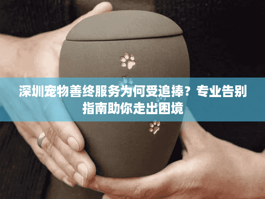 深圳宠物善终服务为何受追捧？专业告别指南助你走出困境