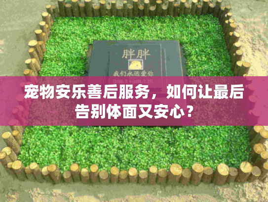 宠物安乐善后服务，如何让最后告别体面又安心？