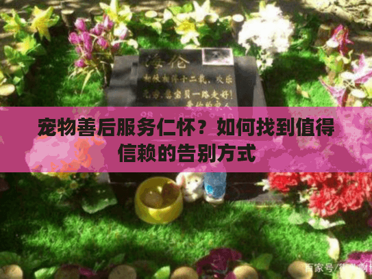 宠物善后服务仁怀？如何找到值得信赖的告别方式