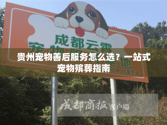 贵州宠物善后服务怎么选？一站式宠物殡葬指南