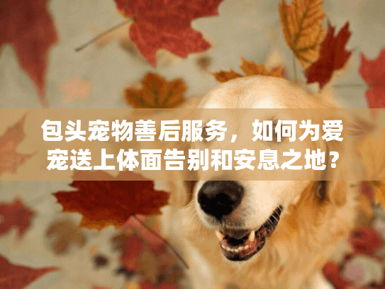 包头宠物善后服务，如何为爱宠送上体面告别和安息之地？
