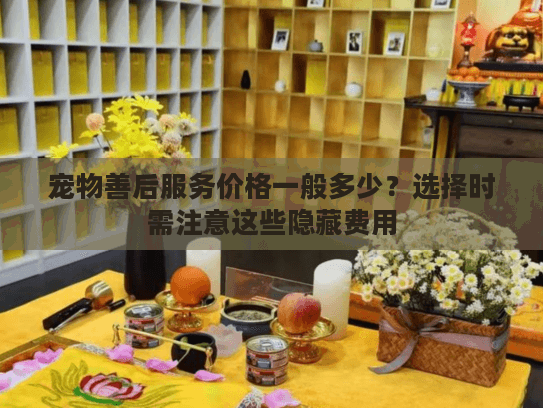 宠物善后服务价格一般多少？选择时需注意这些隐藏费用