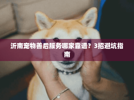 沂南宠物善后服务哪家靠谱？3招避坑指南