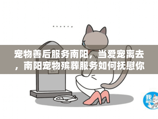 宠物善后服务南阳，当爱宠离去，南阳宠物殡葬服务如何抚慰你的心？