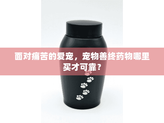 面对痛苦的爱宠，宠物善终药物哪里买才可靠？