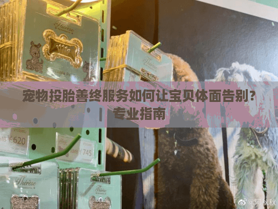 宠物投胎善终服务如何让宝贝体面告别？专业指南