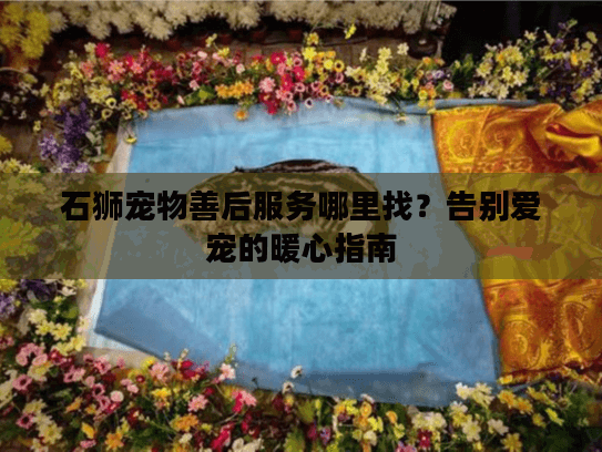 石狮宠物善后服务哪里找？告别爱宠的暖心指南