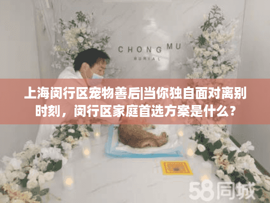 上海闵行区宠物善后|当你独自面对离别时刻，闵行区家庭首选方案是什么？