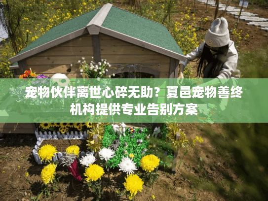 宠物伙伴离世心碎无助？夏邑宠物善终机构提供专业告别方案