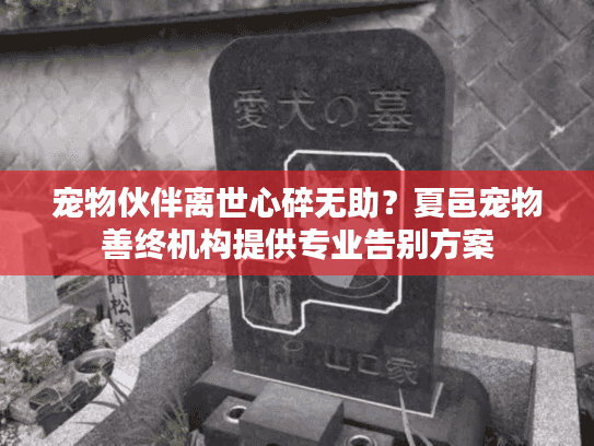 宠物伙伴离世心碎无助？夏邑宠物善终机构提供专业告别方案