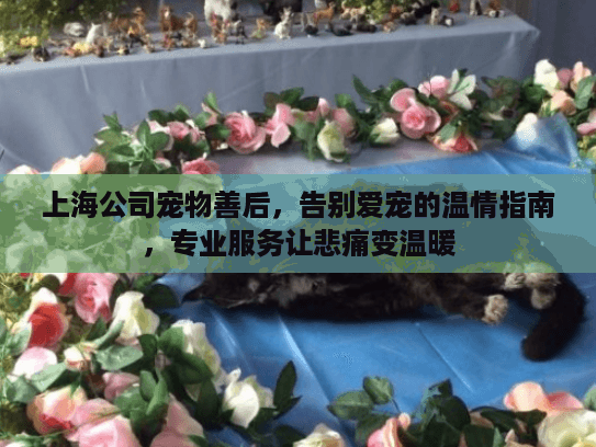 上海公司宠物善后，告别爱宠的温情指南，专业服务让悲痛变温暖