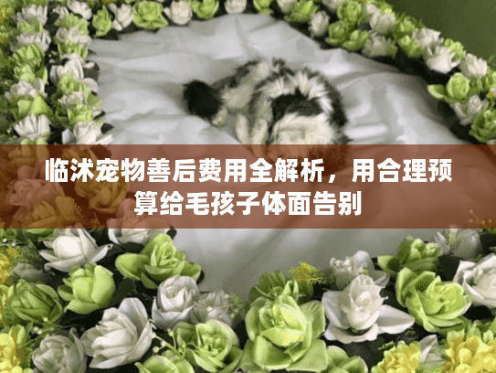 临沭宠物善后费用全解析，用合理预算给毛孩子体面告别