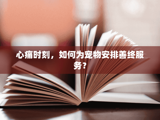心痛时刻，如何为宠物安排善终服务？