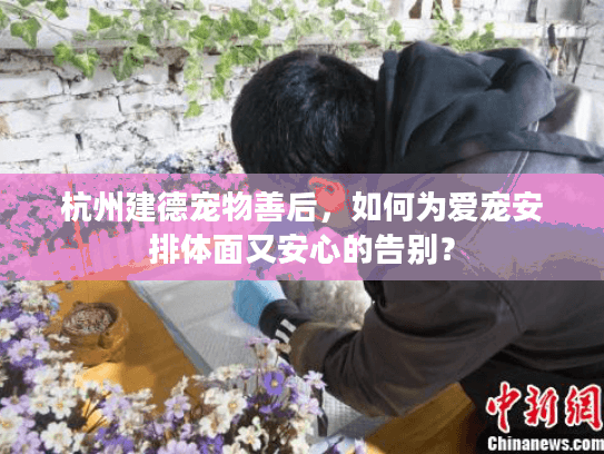杭州建德宠物善后，如何为爱宠安排体面又安心的告别？