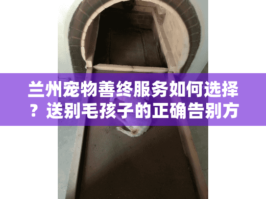 兰州宠物善终服务如何选择？送别毛孩子的正确告别方式