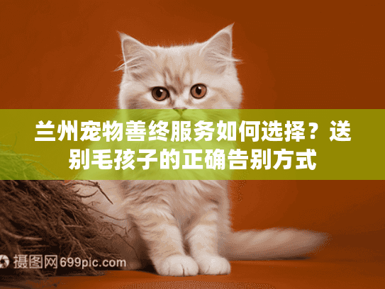 兰州宠物善终服务如何选择？送别毛孩子的正确告别方式