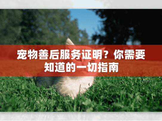 宠物善后服务证明？你需要知道的一切指南