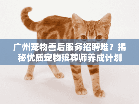 广州宠物善后服务招聘难？揭秘优质宠物殡葬师养成计划