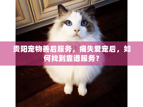 贵阳宠物善后服务，痛失爱宠后，如何找到靠谱服务？