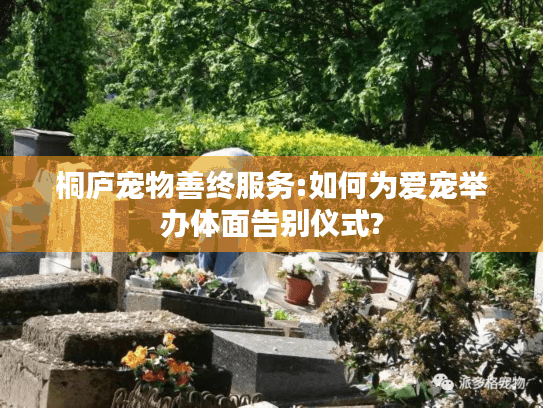 桐庐宠物善终服务:如何为爱宠举办体面告别仪式?