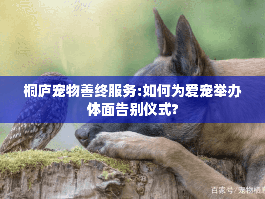 桐庐宠物善终服务:如何为爱宠举办体面告别仪式?