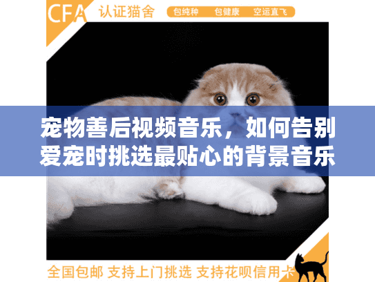 宠物善后视频音乐，如何告别爱宠时挑选最贴心的背景音乐？