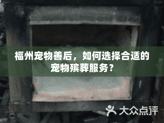 福州宠物善后，如何选择合适的宠物殡葬服务？