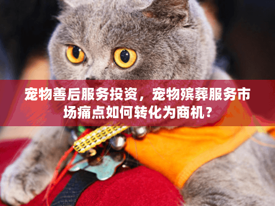 宠物善后服务投资，宠物殡葬服务市场痛点如何转化为商机？