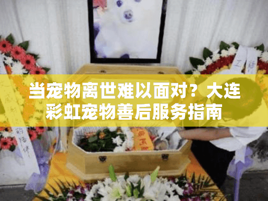 当宠物离世难以面对？大连彩虹宠物善后服务指南
