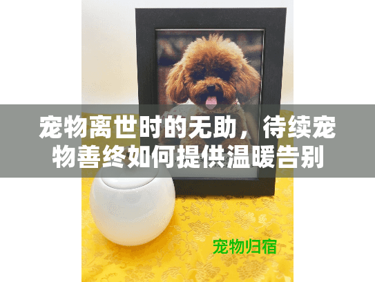 宠物离世时的无助，待续宠物善终如何提供温暖告别