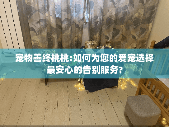 宠物善终桃桃:如何为您的爱宠选择最安心的告别服务?