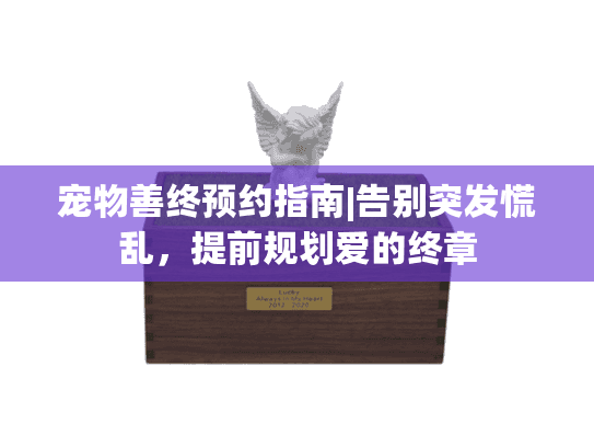 宠物善终预约指南|告别突发慌乱，提前规划爱的终章